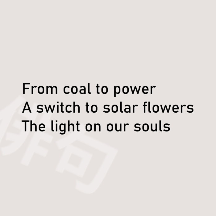 From coal to power A switch to solar flowers The light on our souls