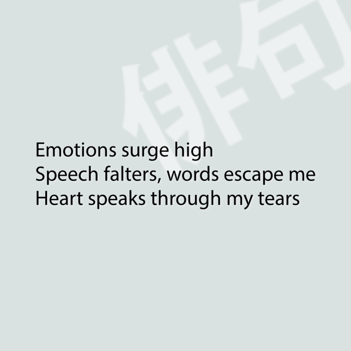Emotions surge high Speech falters, words escape me Heart speaks through my tears