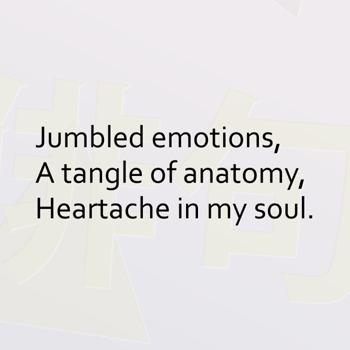 Jumbled emotions, A tangle of anatomy, Heartache in my soul.