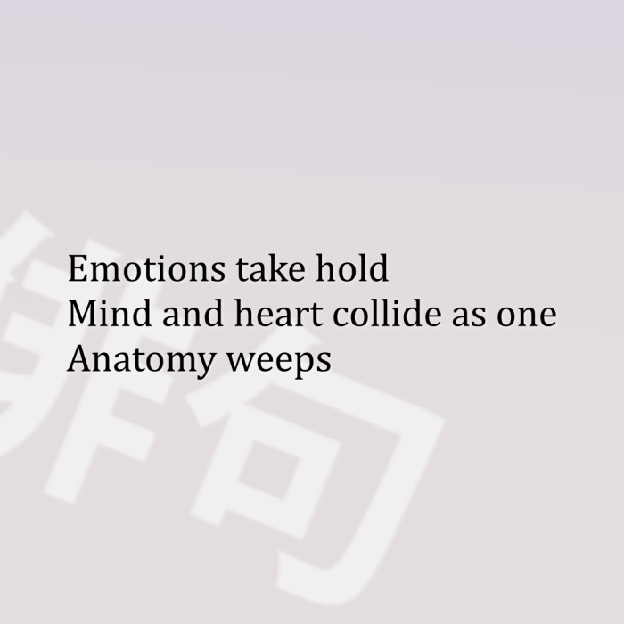 Emotions take hold Mind and heart collide as one Anatomy weeps
