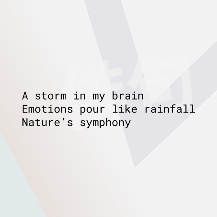 A storm in my brain Emotions pour like rainfall Nature’s symphony