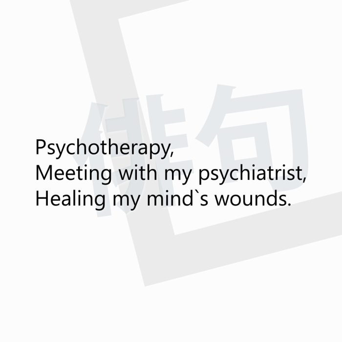 Psychotherapy, Meeting with my psychiatrist, Healing my mind`s wounds.