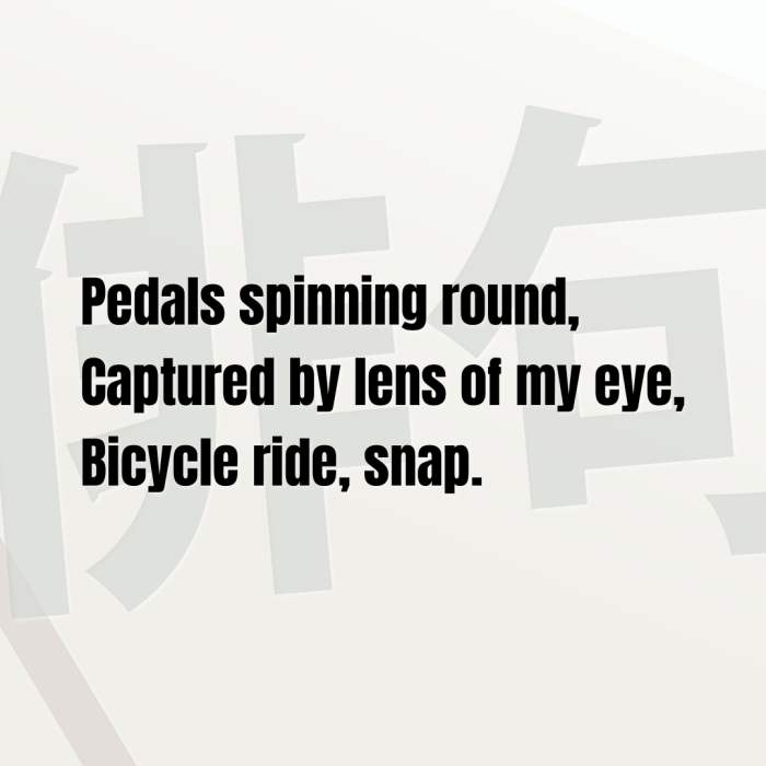 Pedals spinning round, Captured by lens of my eye, Bicycle ride, snap.