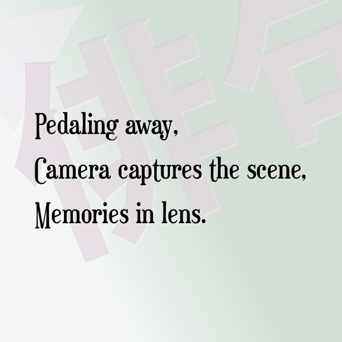 Pedaling away, Camera captures the scene, Memories in lens.