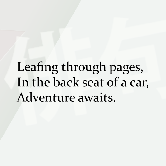 Leafing through pages, In the back seat of a car, Adventure awaits.