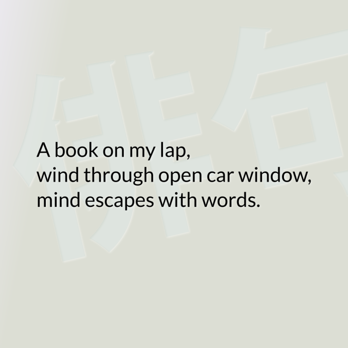 A book on my lap, wind through open car window, mind escapes with words.