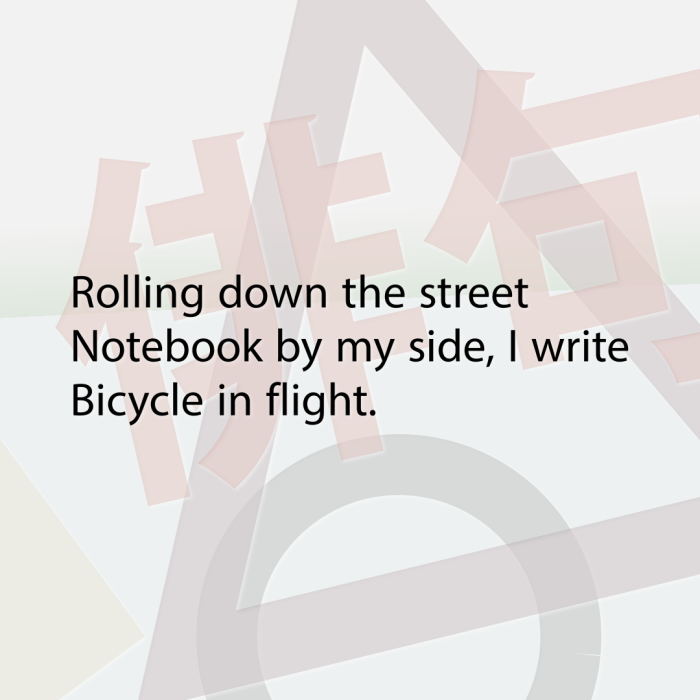 Rolling down the street Notebook by my side, I write Bicycle in flight.