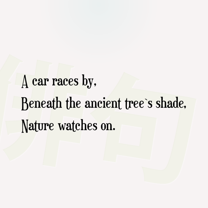 A car races by, Beneath the ancient tree`s shade, Nature watches on.