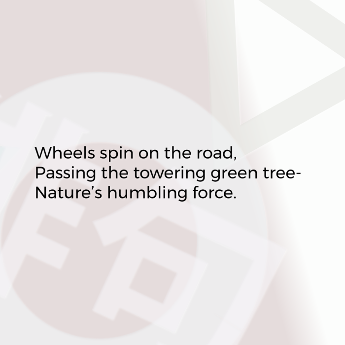Wheels spin on the road, Passing the towering green tree- Nature’s humbling force.