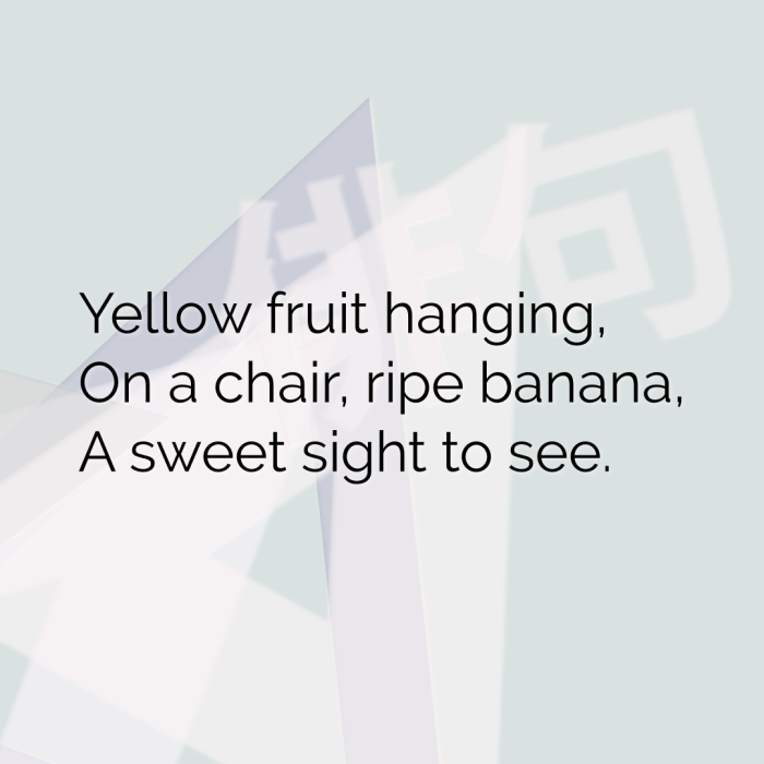 Yellow fruit hanging, On a chair, ripe banana, A sweet sight to see.