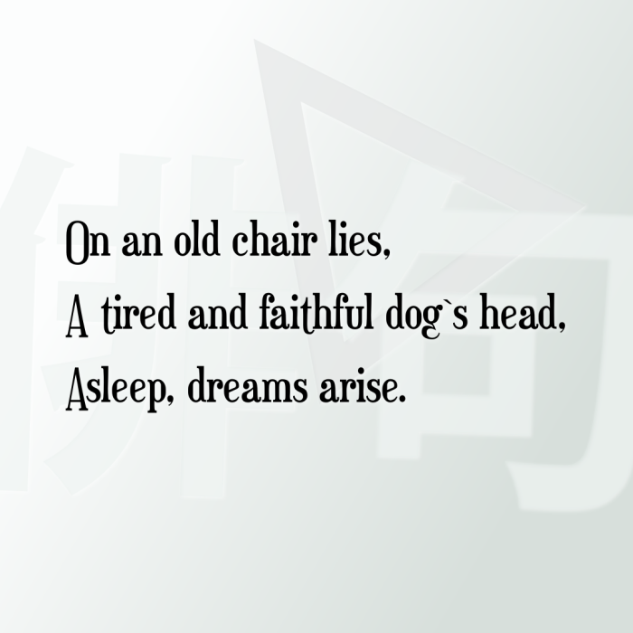 On an old chair lies, A tired and faithful dog`s head, Asleep, dreams arise.