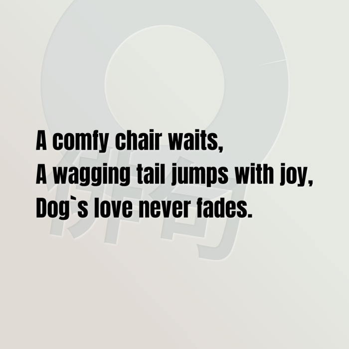 A comfy chair waits, A wagging tail jumps with joy, Dog`s love never fades.