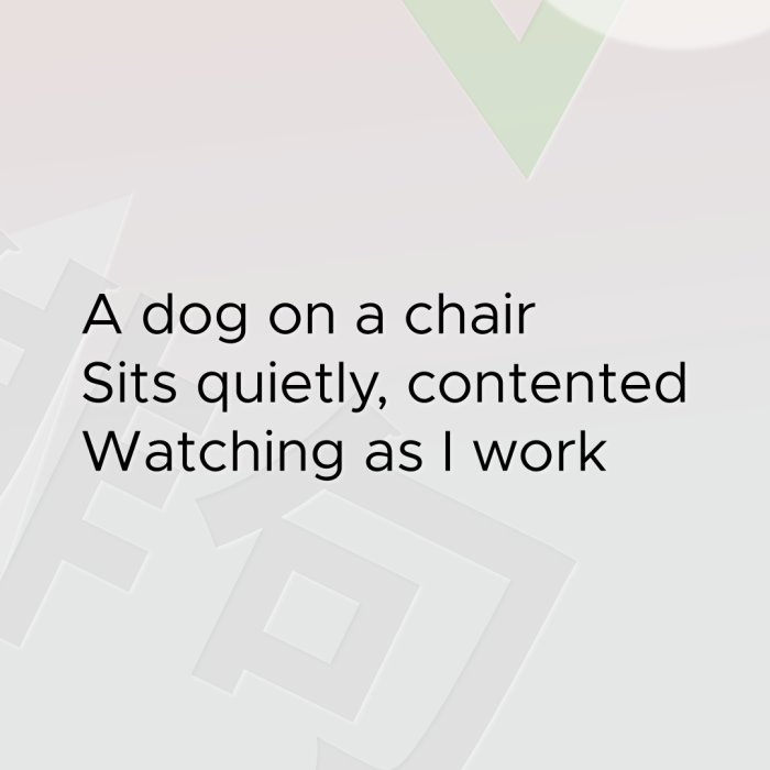 A dog on a chair Sits quietly, contented Watching as I work