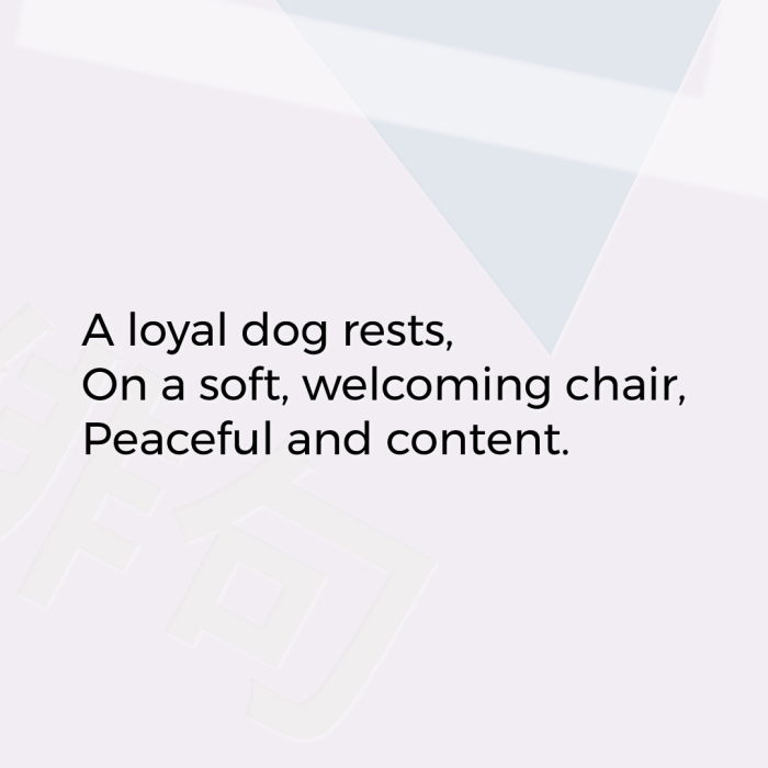 A loyal dog rests, On a soft, welcoming chair, Peaceful and content.