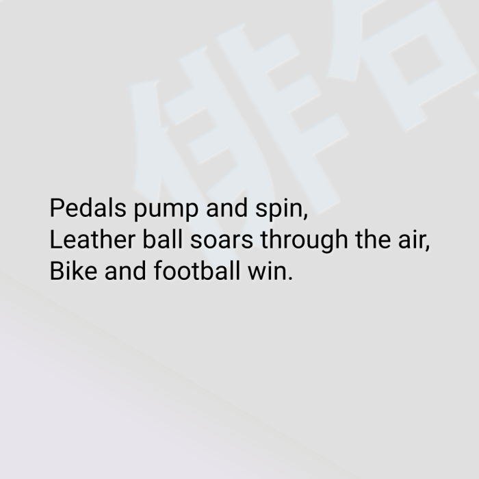 Pedals pump and spin, Leather ball soars through the air, Bike and football win.