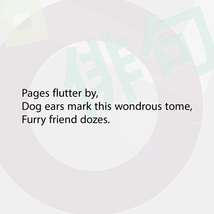 Pages flutter by, Dog ears mark this wondrous tome, Furry friend dozes.