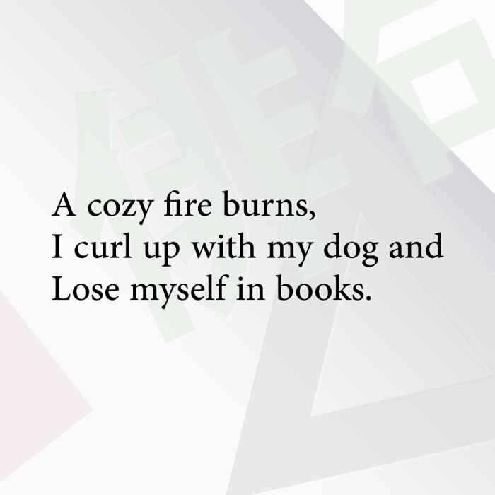 A cozy fire burns, I curl up with my dog and Lose myself in books.