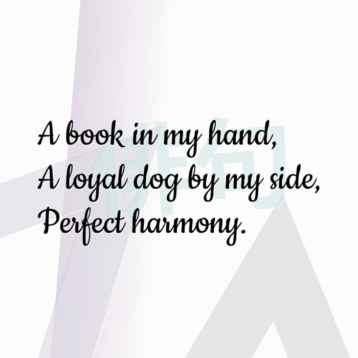 A book in my hand, A loyal dog by my side, Perfect harmony.