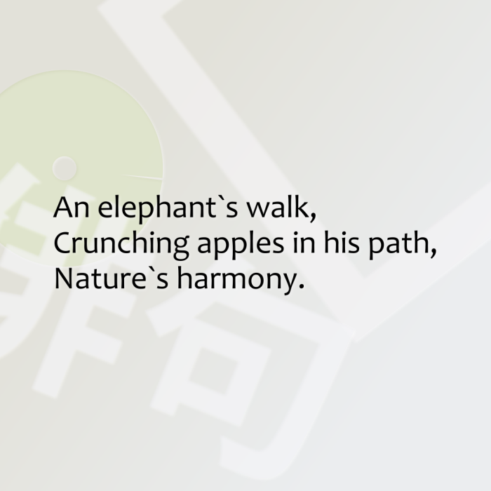 An elephant`s walk, Crunching apples in his path, Nature`s harmony.