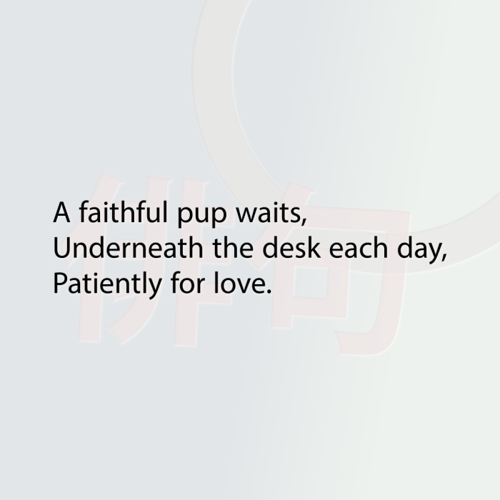 A faithful pup waits, Underneath the desk each day, Patiently for love.