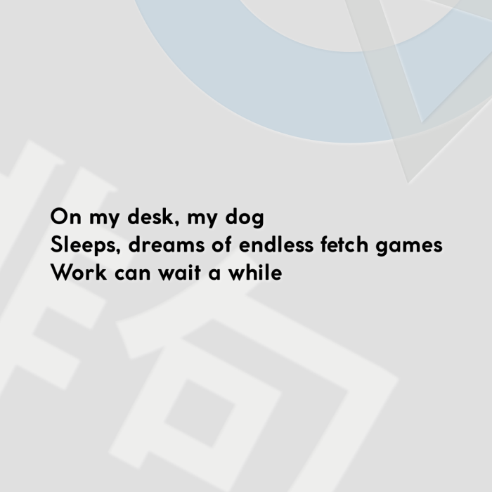 On my desk, my dog Sleeps, dreams of endless fetch games Work can wait a while