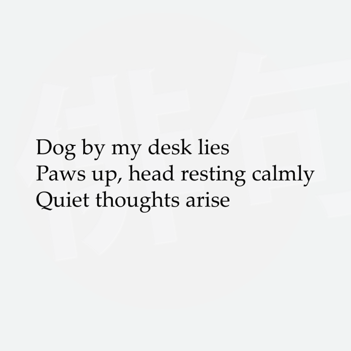 Dog by my desk lies Paws up, head resting calmly Quiet thoughts arise