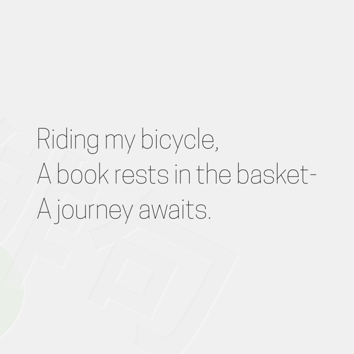Riding my bicycle, A book rests in the basket- A journey awaits.