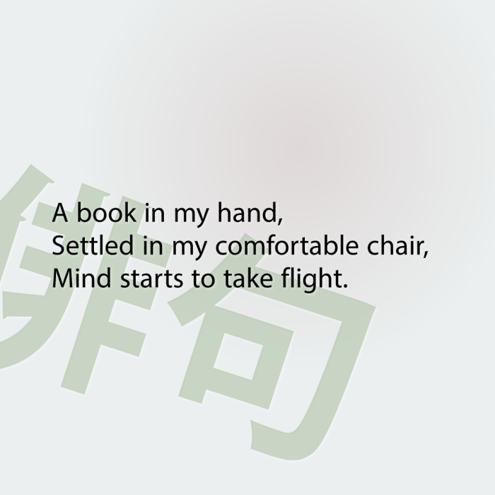A book in my hand, Settled in my comfortable chair, Mind starts to take flight.