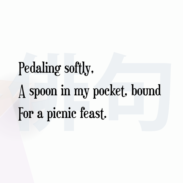 Pedaling softly, A spoon in my pocket, bound For a picnic feast.