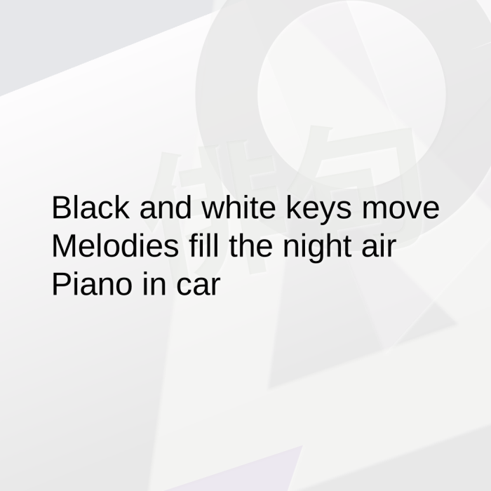 Black and white keys move Melodies fill the night air Piano in car
