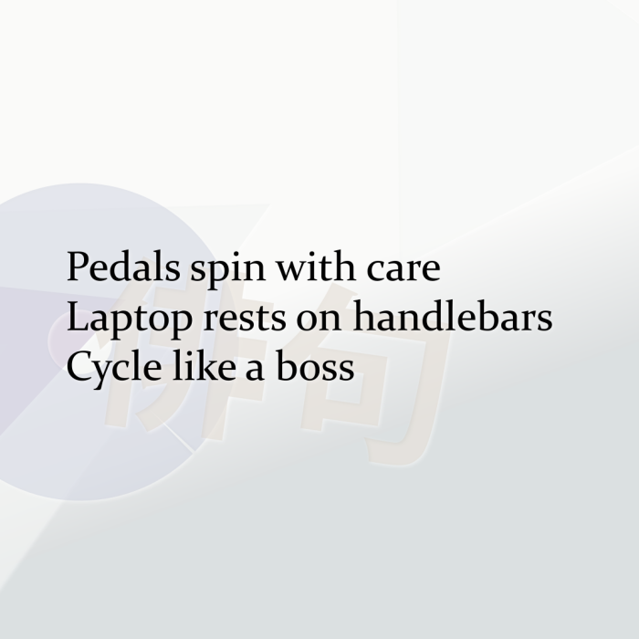 Pedals spin with care Laptop rests on handlebars Cycle like a boss