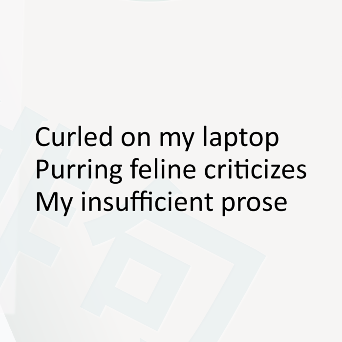 Curled on my laptop Purring feline criticizes My insufficient prose