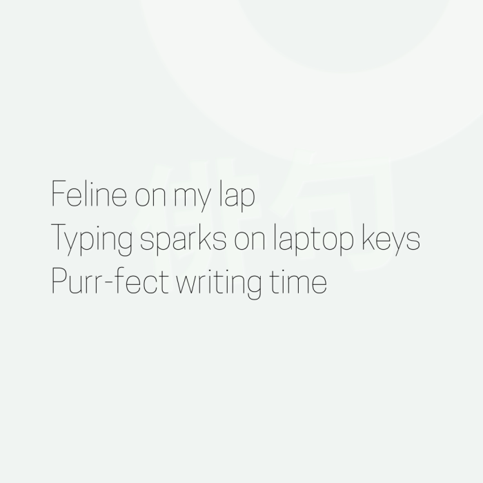 Feline on my lap Typing sparks on laptop keys Purr-fect writing time