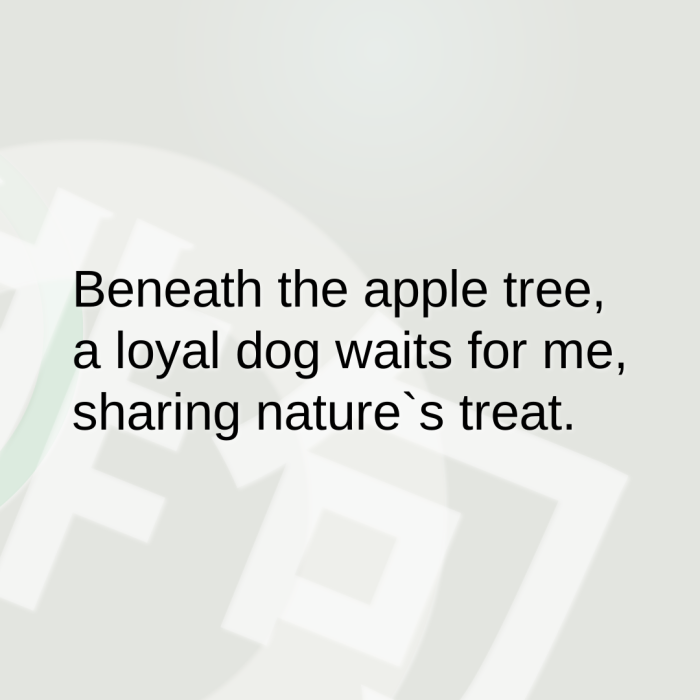 Beneath the apple tree, a loyal dog waits for me, sharing nature`s treat.
