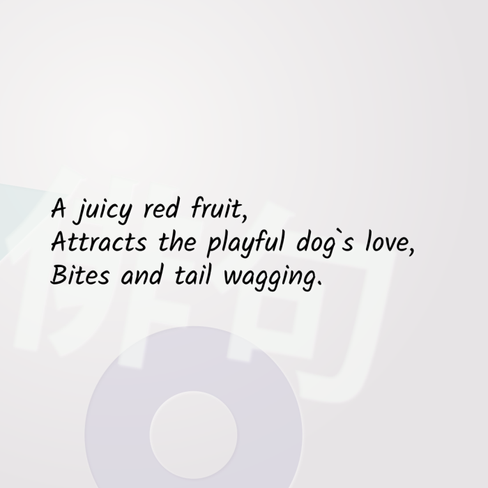 A juicy red fruit, Attracts the playful dog`s love, Bites and tail wagging.