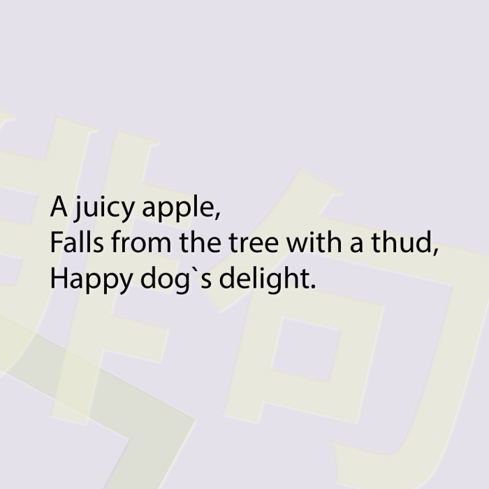 A juicy apple, Falls from the tree with a thud, Happy dog`s delight.