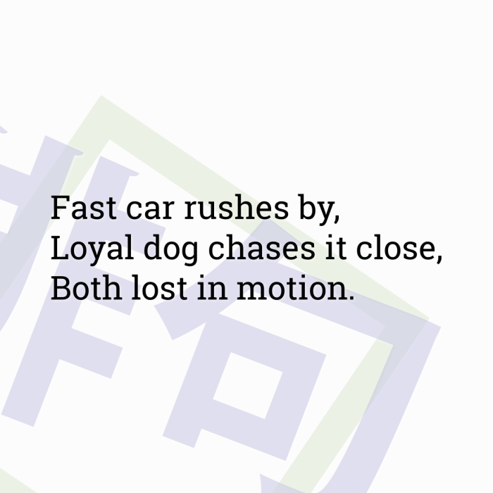 Fast car rushes by, Loyal dog chases it close, Both lost in motion.