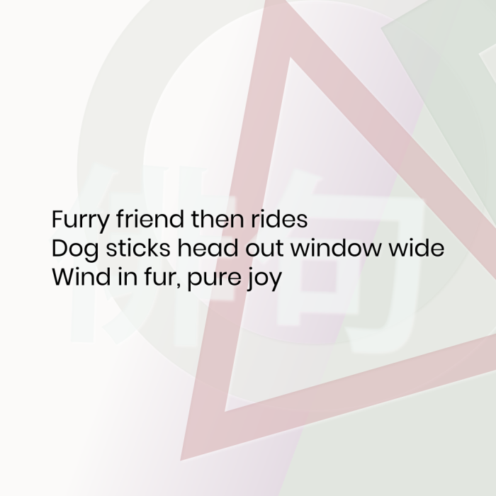 Furry friend then rides Dog sticks head out window wide Wind in fur, pure joy