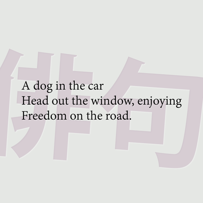 A dog in the car Head out the window, enjoying Freedom on the road.