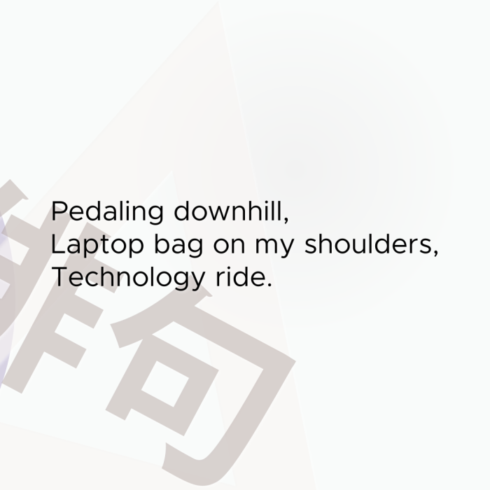 Pedaling downhill, Laptop bag on my shoulders, Technology ride.