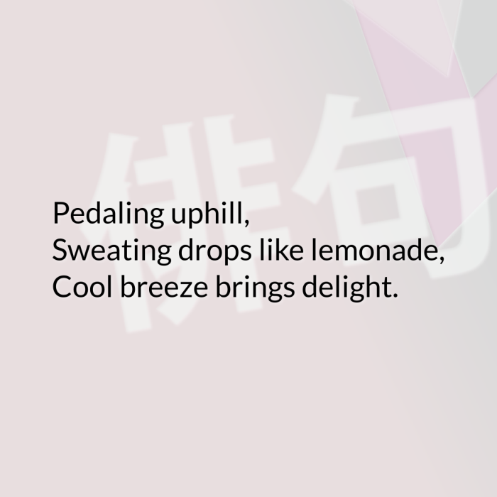 Pedaling uphill, Sweating drops like lemonade, Cool breeze brings delight.