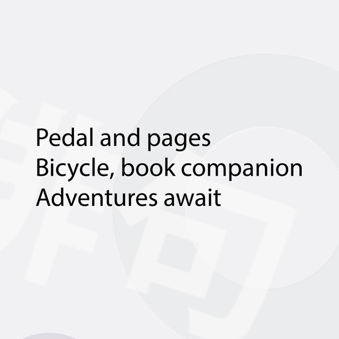 Pedal and pages Bicycle, book companion Adventures await