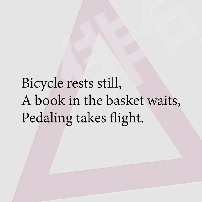 Bicycle rests still, A book in the basket waits, Pedaling takes flight.