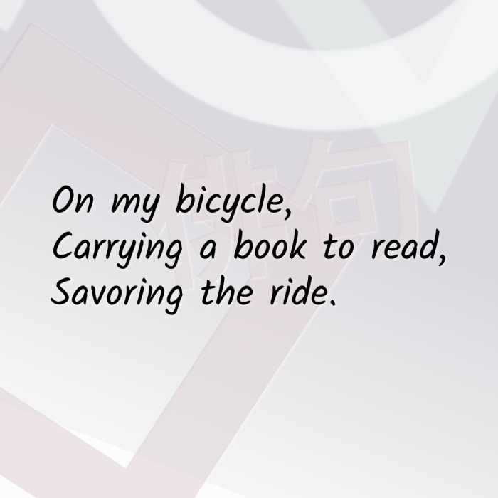 On my bicycle, Carrying a book to read, Savoring the ride.