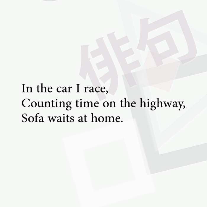 In the car I race, Counting time on the highway, Sofa waits at home.