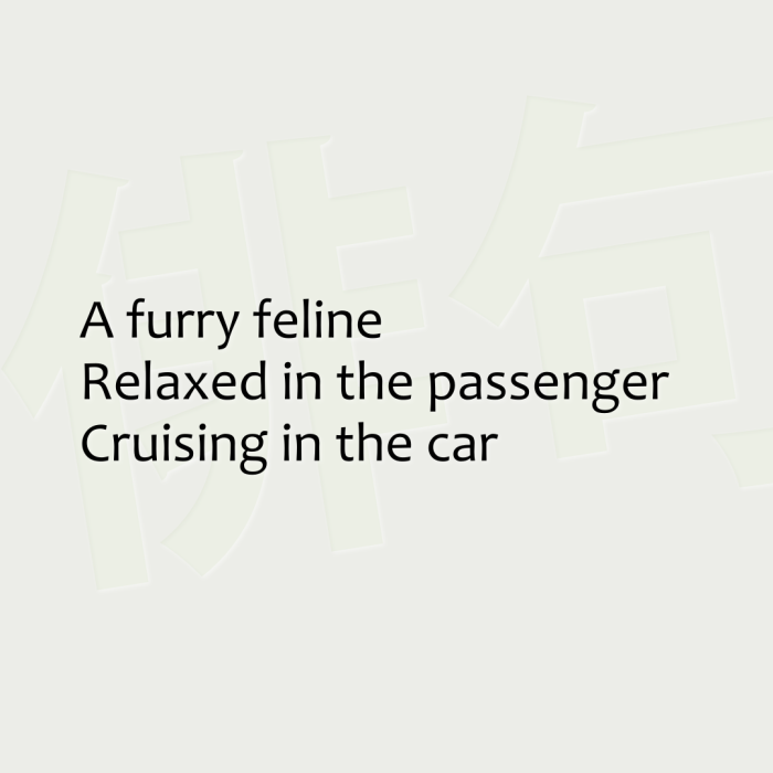 A furry feline Relaxed in the passenger Cruising in the car