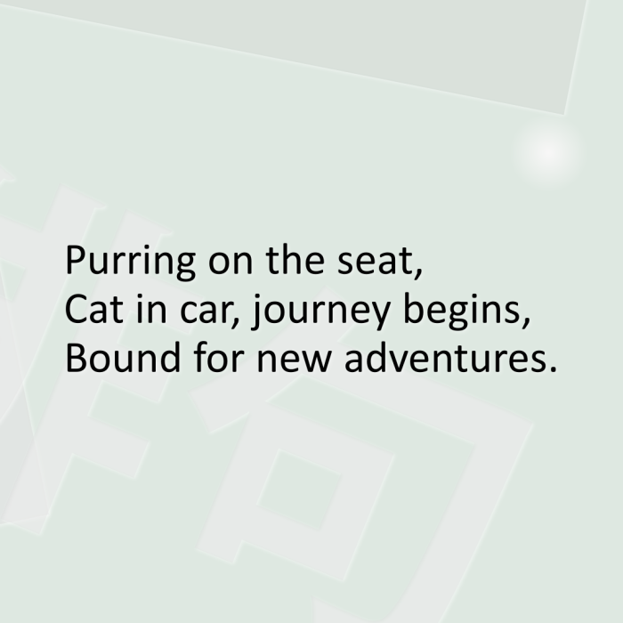 Purring on the seat, Cat in car, journey begins, Bound for new adventures.