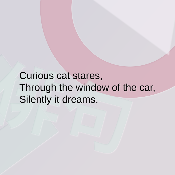 Curious cat stares, Through the window of the car, Silently it dreams.