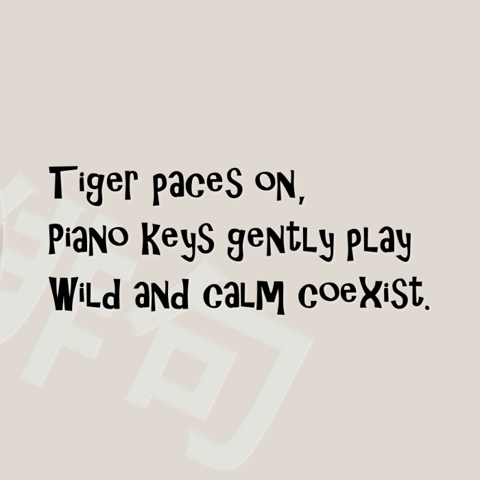 Tiger paces on, Piano keys gently play Wild and calm coexist.