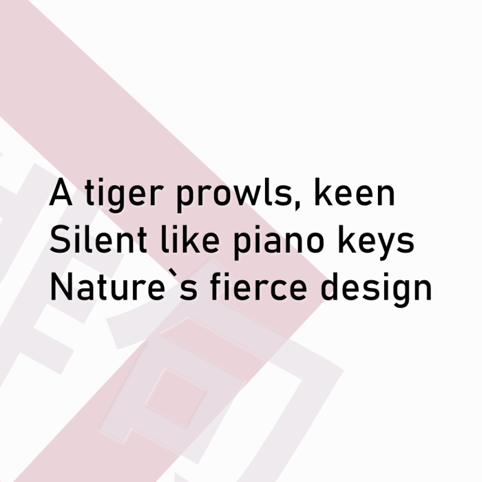 A tiger prowls, keen Silent like piano keys Nature`s fierce design
